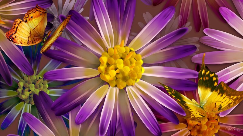 Butterflies on Purple Flowers — Vibrant