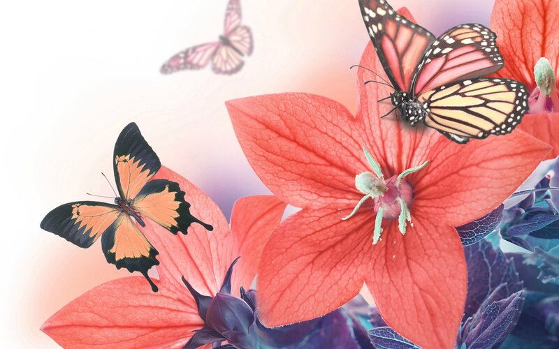 Butterflies on Red Flowers — Serene, Digital Art