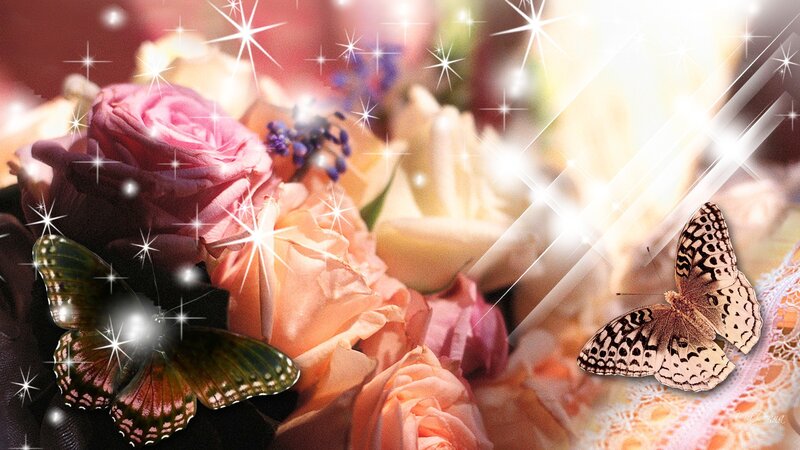 Butterflies on Roses