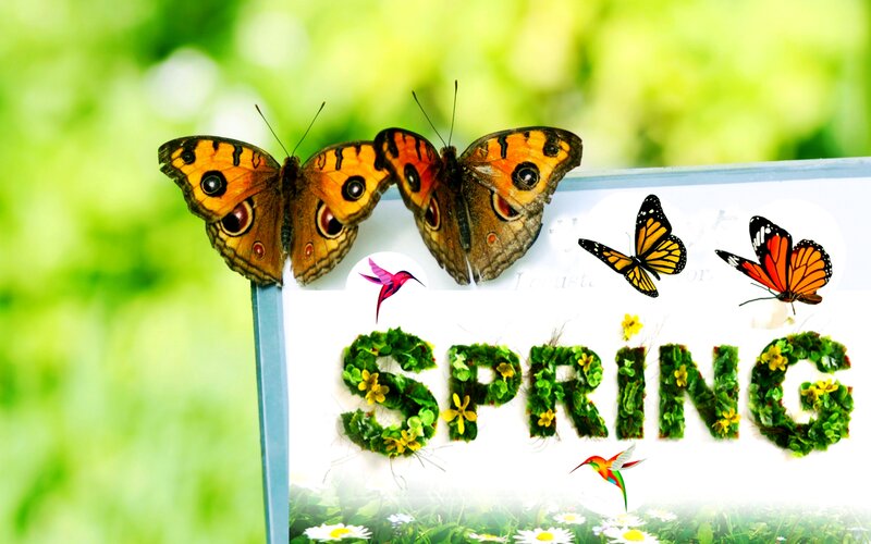 Butterflies on Spring Sign