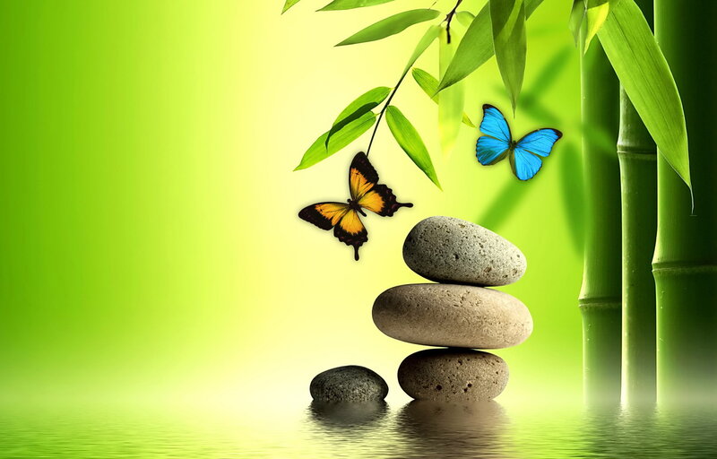 Butterflies on Stacked Stones