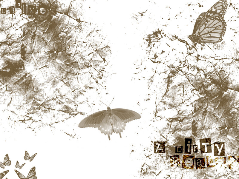 butterflies on textured background