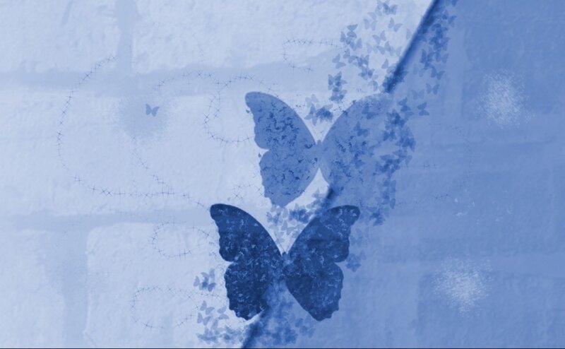 Butterflies on Textured Surface
