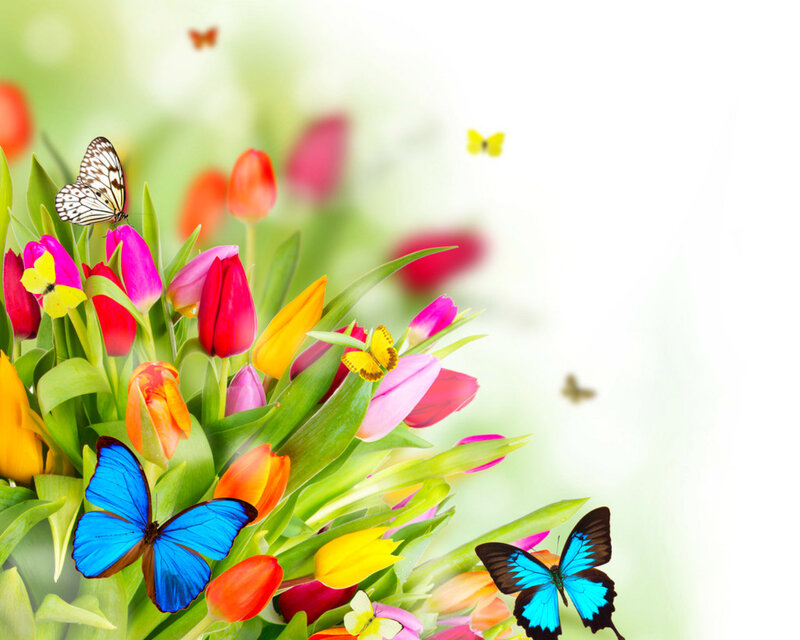 Butterflies on Tulips — Blue, Bright