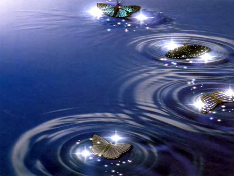 butterflies on water surface