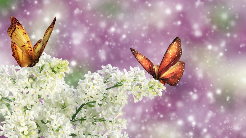 Butterflies on White Flowers — Serene, Digital Art