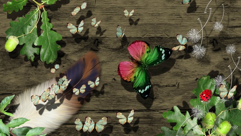 Butterflies on Wood
