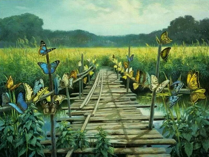Butterflies on Wooden Bridge