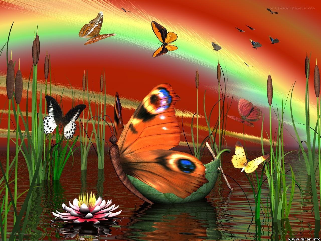 Butterflies over a pond
