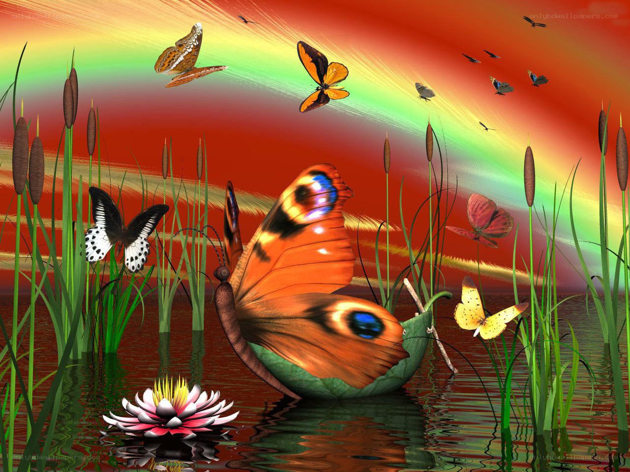 Butterflies over a pond