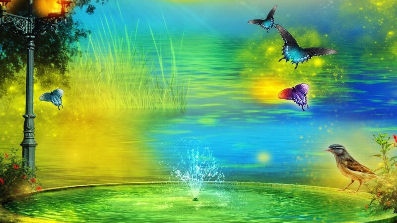 butterflies over a pond