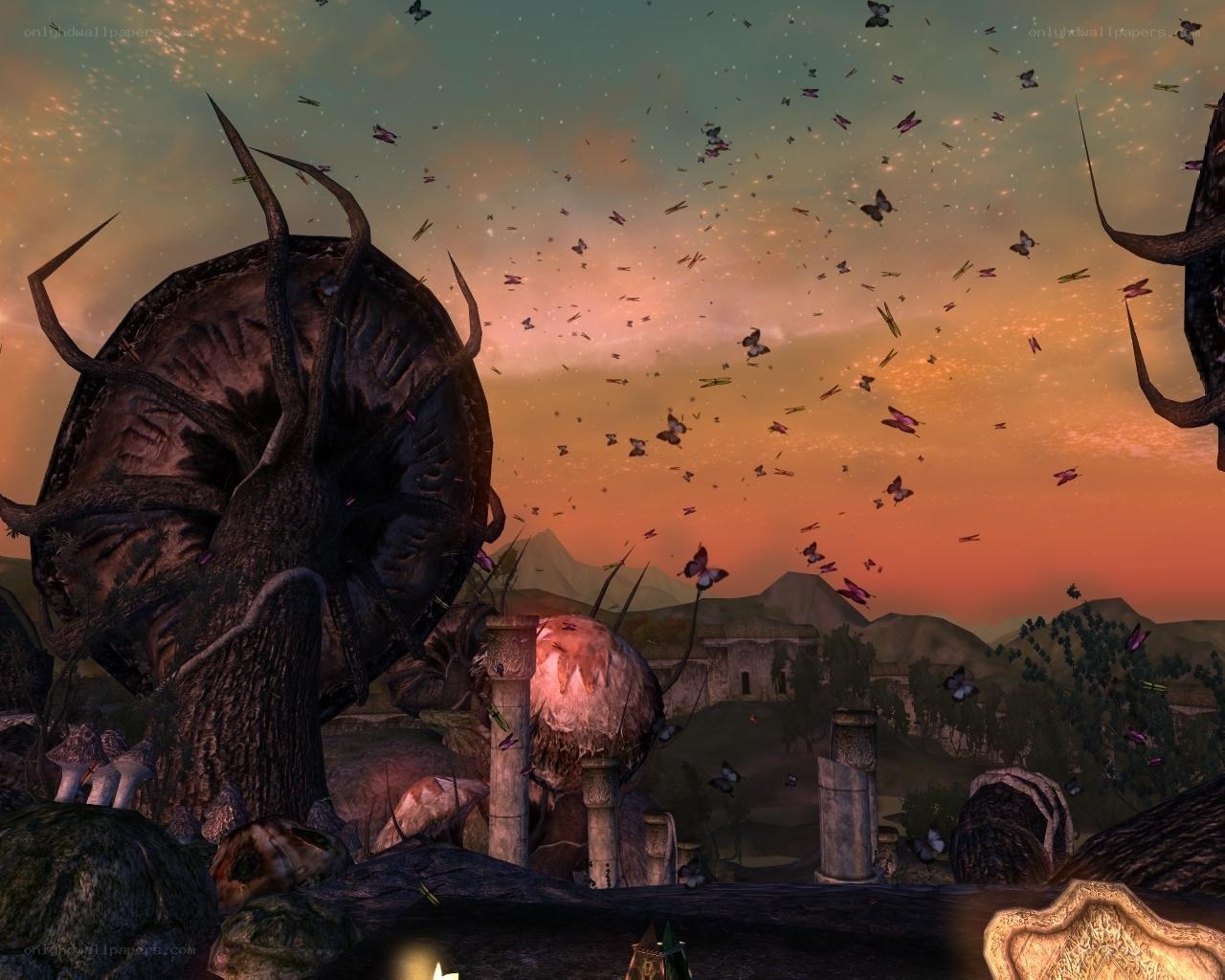 Butterflies over ancient ruins