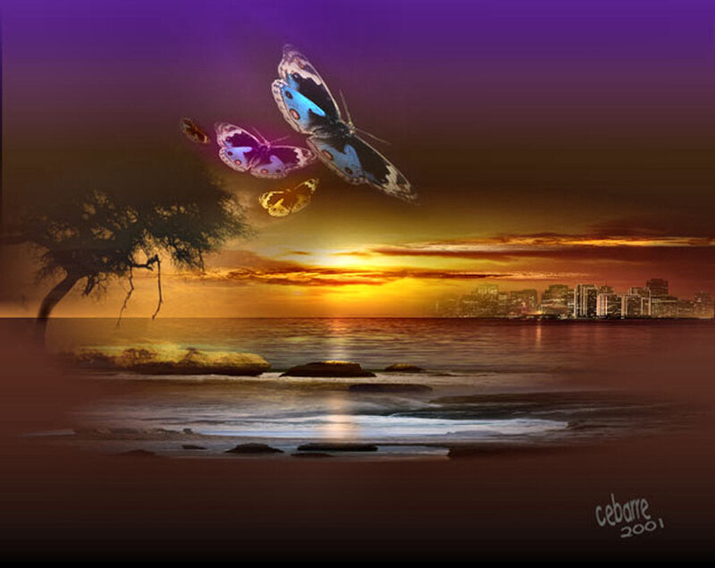 Butterflies over Beach