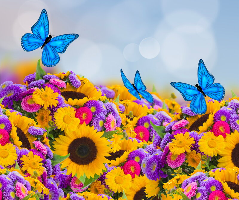 Butterflies over Flowers — Blue