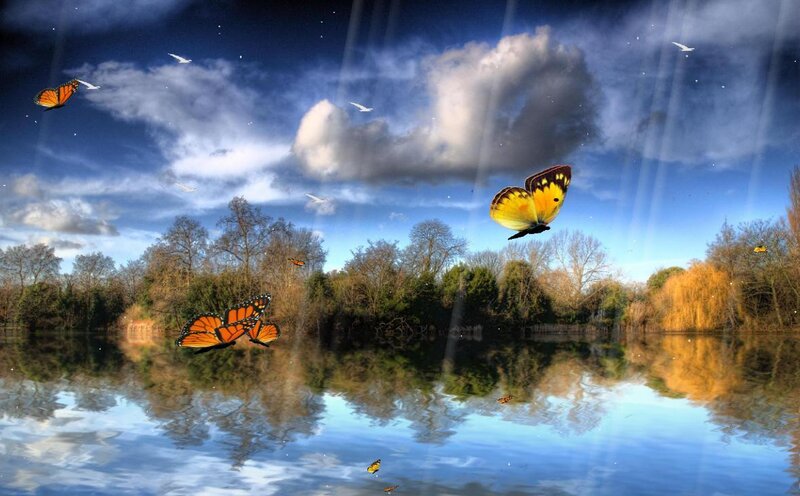Butterflies over Lake
