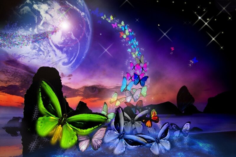 Butterflies over Ocean