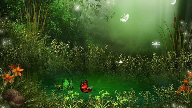 Butterflies over Pond