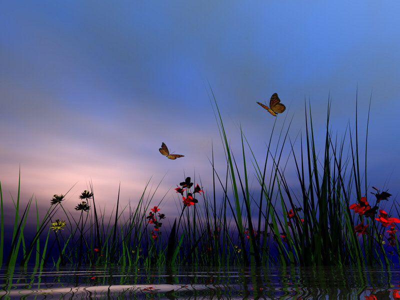 Butterflies over Water — Blue