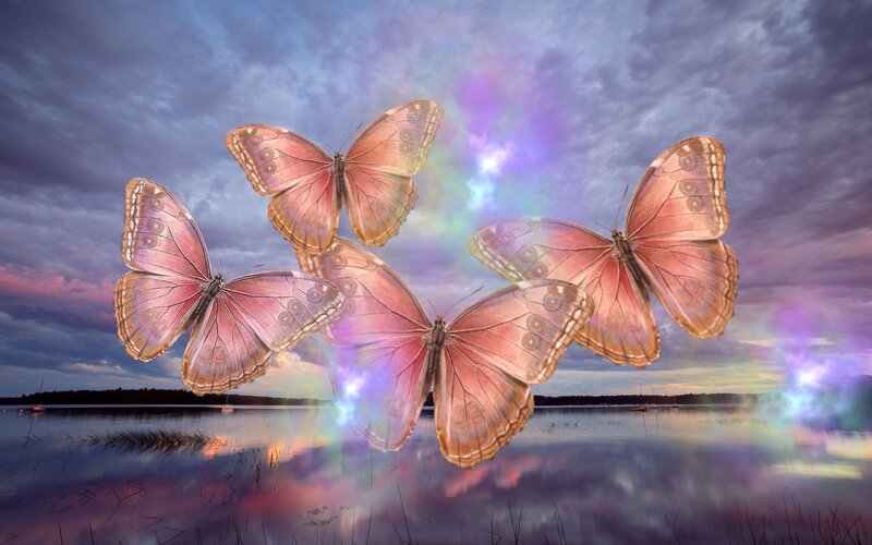 Butterflies over Water — Purple, Dreamy