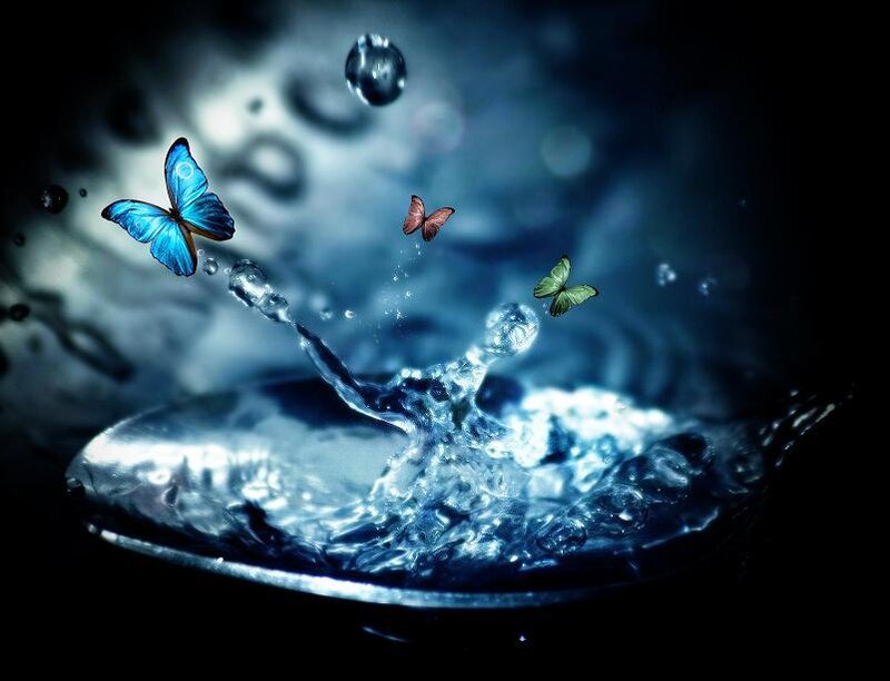 butterflies over water splash