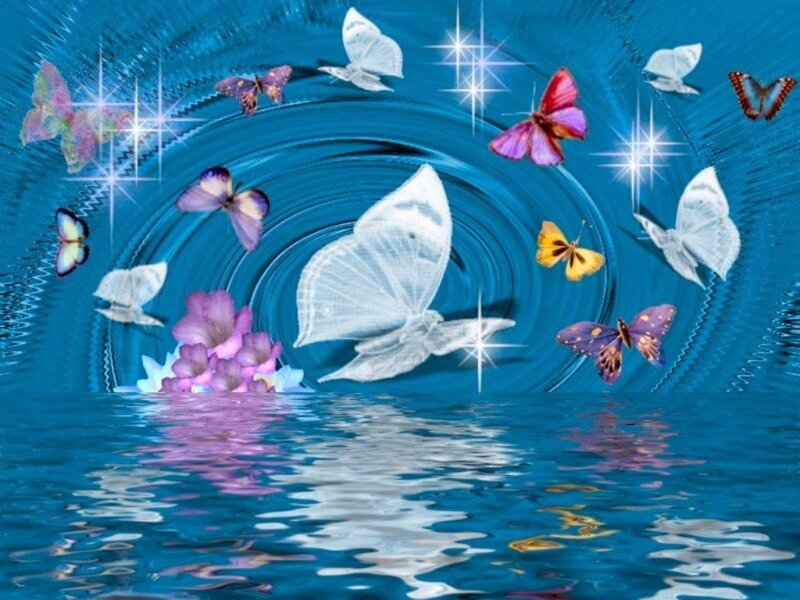 Butterflies over Water