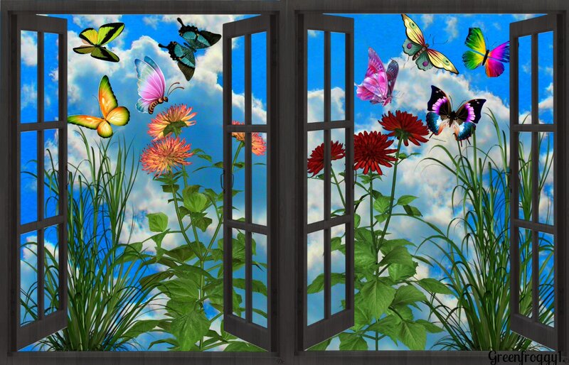 Butterflies Through Open Window