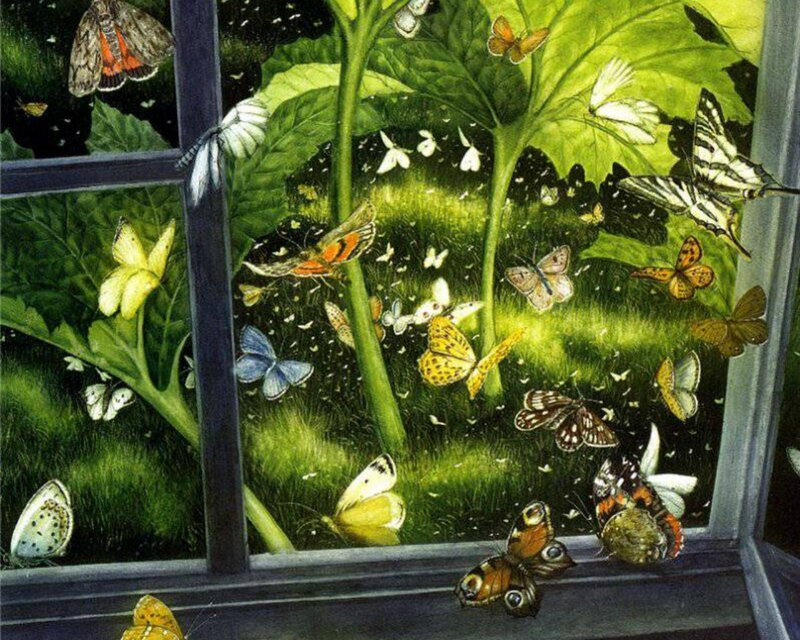 Butterflies Through Window