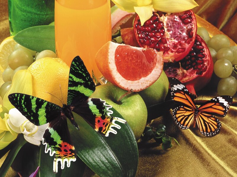 butterflies with fruit arrangement