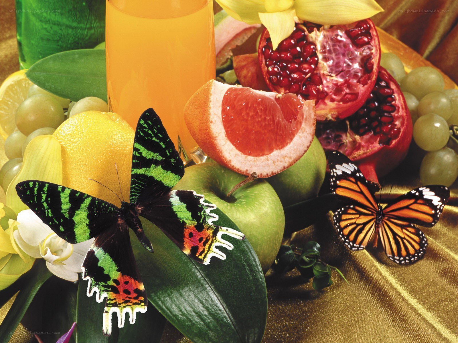 butterflies with fruit arrangement