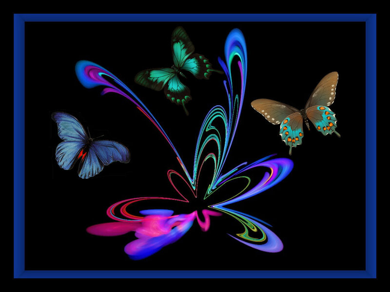 Butterflies with Light Trails