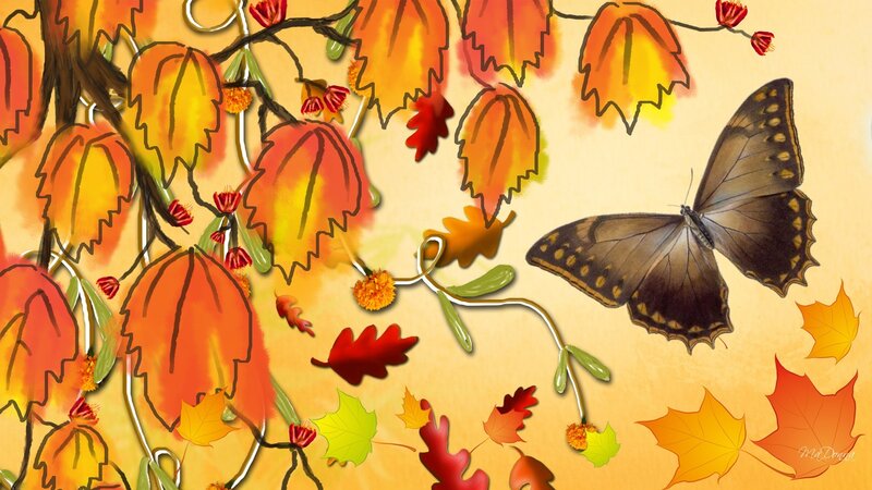Butterfly Among Autumn Leaves