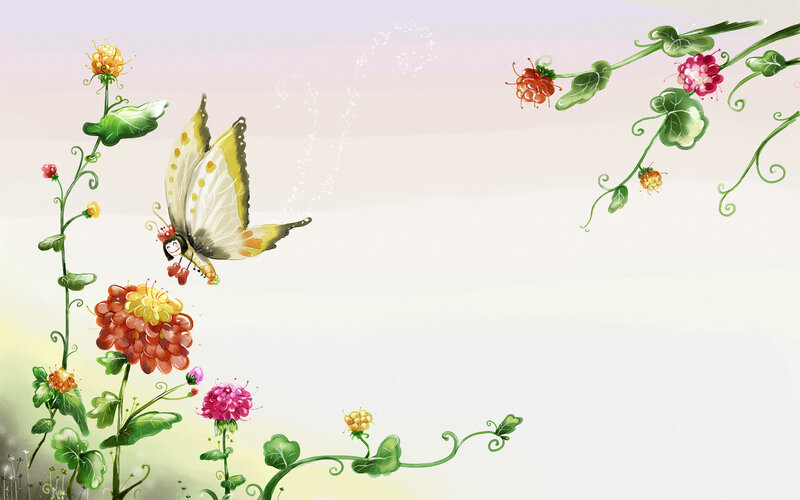 butterfly among colorful flowers