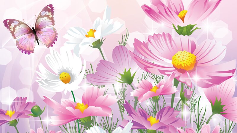 Butterfly Among Cosmos Flowers
