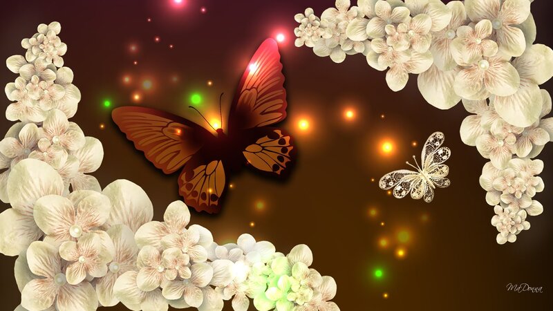 Butterfly Among Flowers — Brown