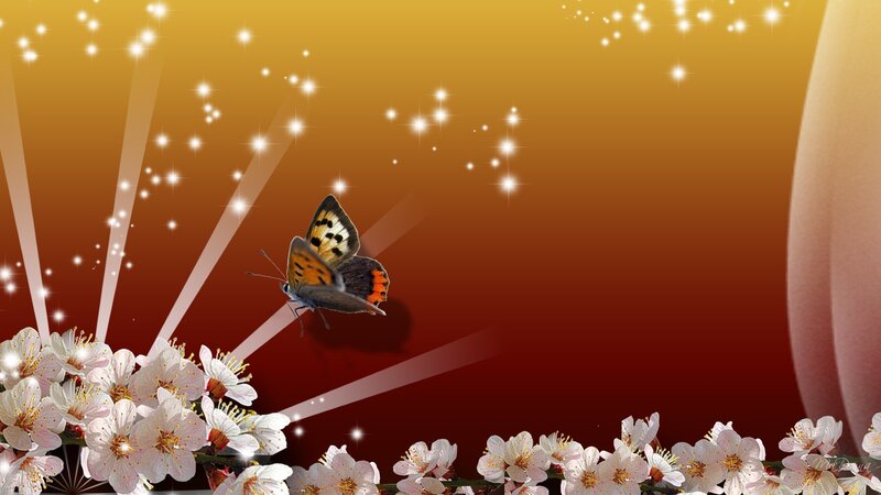 Butterfly Among Flowers — Gold