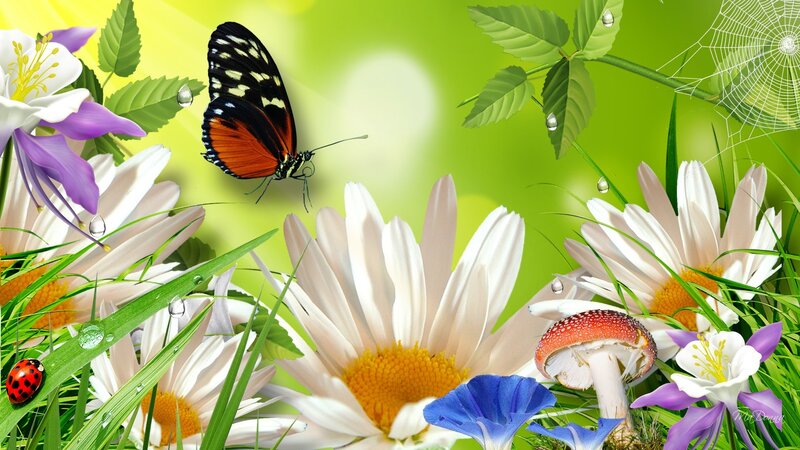 Butterfly Among Flowers — Green