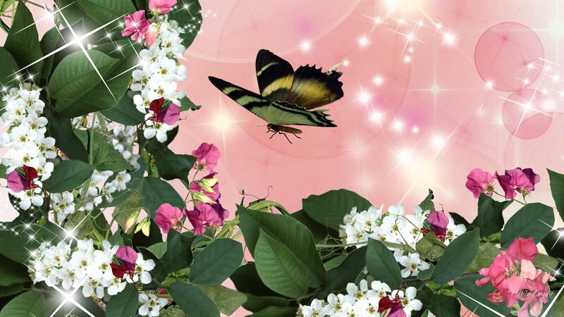 Butterfly Among Flowers — Pink, Dreamy