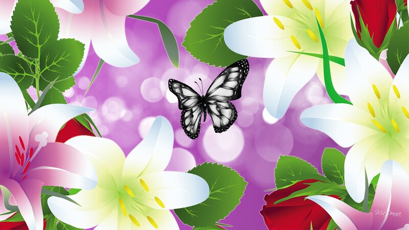 Butterfly Among Flowers — Purple, Serene