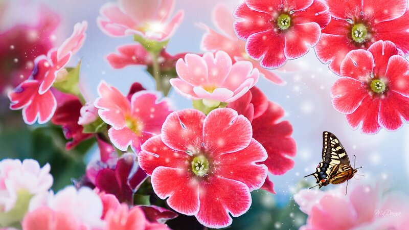 Butterfly Among Flowers — Red