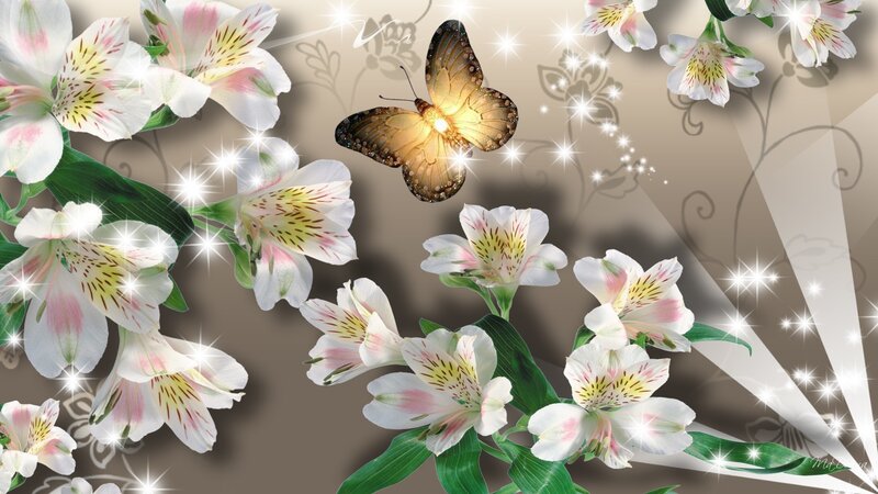 Butterfly Among Flowers — White