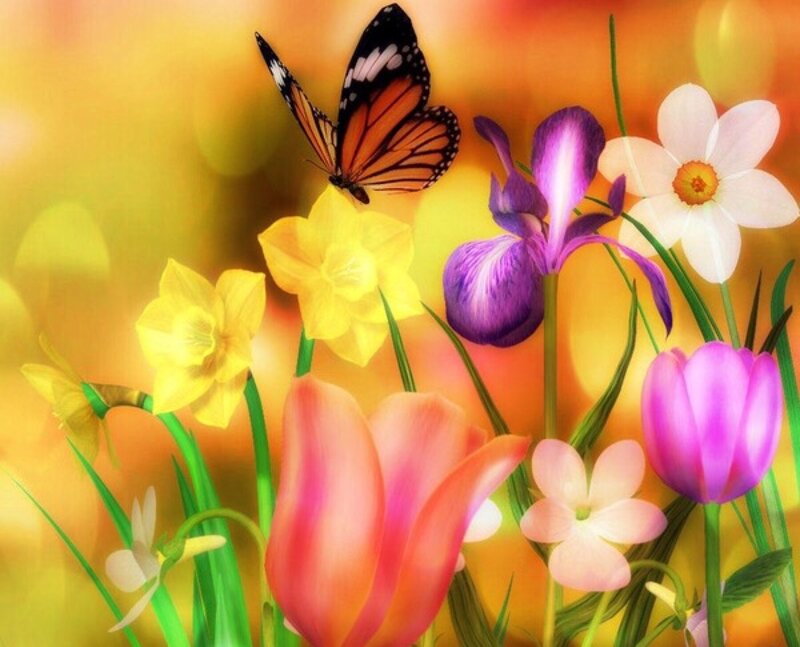 Butterfly Among Flowers — Yellow, Vibrant