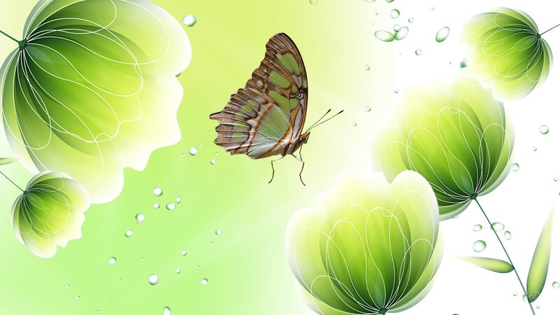 Butterfly Among Green Flowers