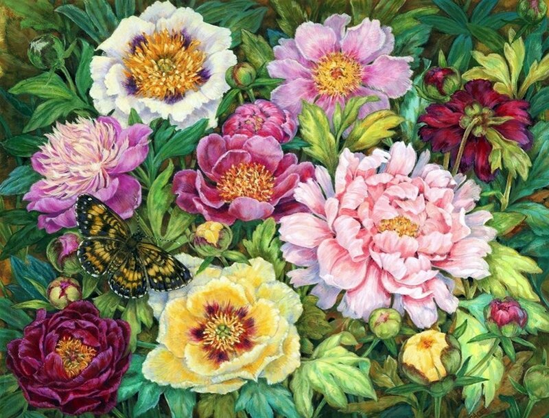 Butterfly Among Peonies