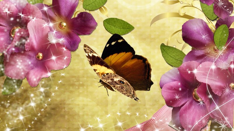 Butterfly Among Purple Flowers