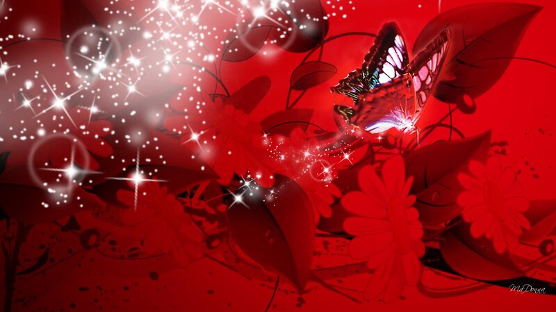 Butterfly Among Red Flowers