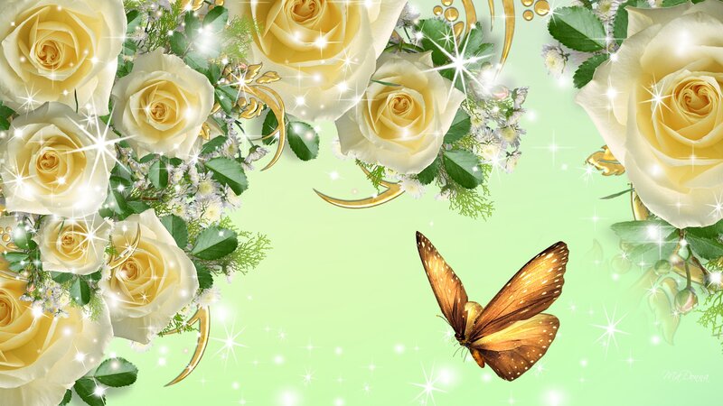 Butterfly Among Roses