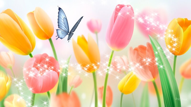Butterfly Among Tulips