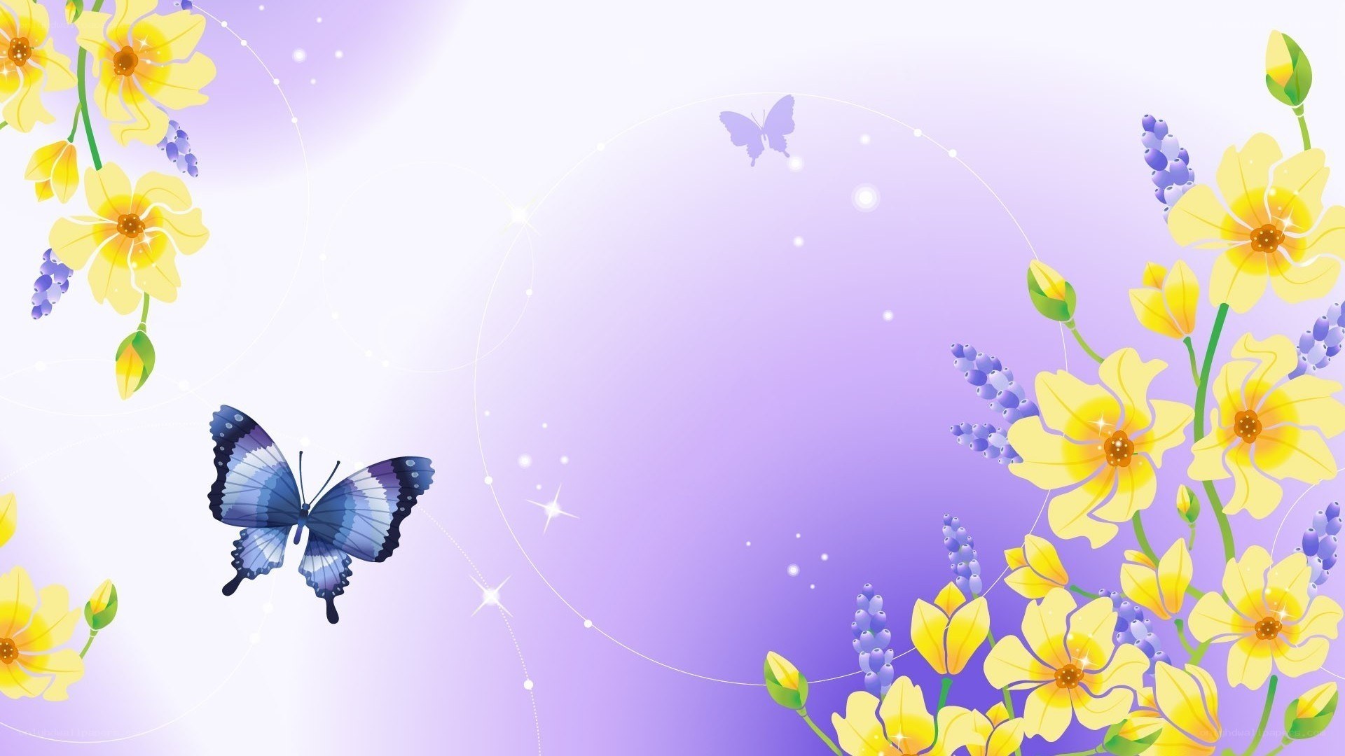 butterfly among yellow flowers