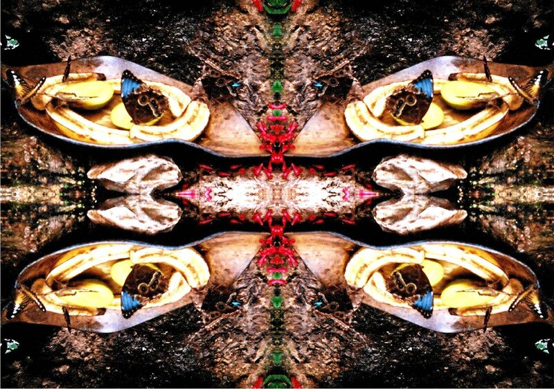 butterfly and banana symmetrical pattern