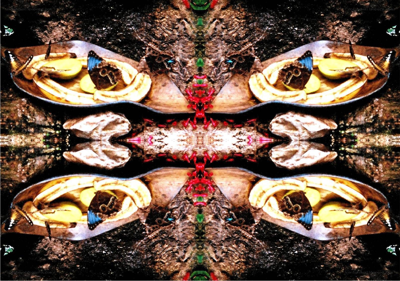 butterfly and banana symmetrical pattern